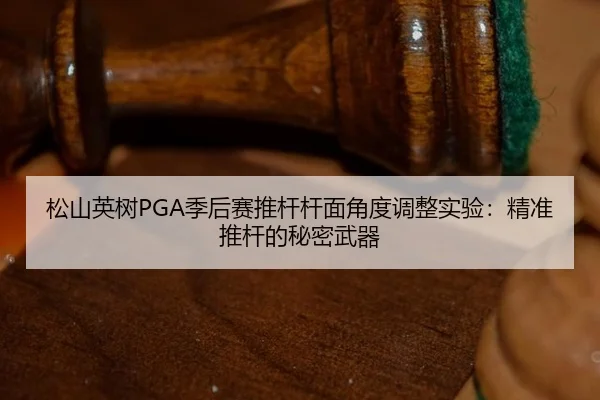 song-shan-ying-shu-ji-hou-sai-tui-gan-gan-mian-jiao-du-tiao-zheng-shi-yan-jing-zhun-tui-gan-de-mi-mi-wu-qi-2-349.jpg