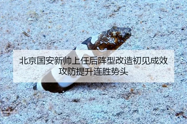 北京国安新帅上任后阵型改造初见成效 攻防提升连胜势头