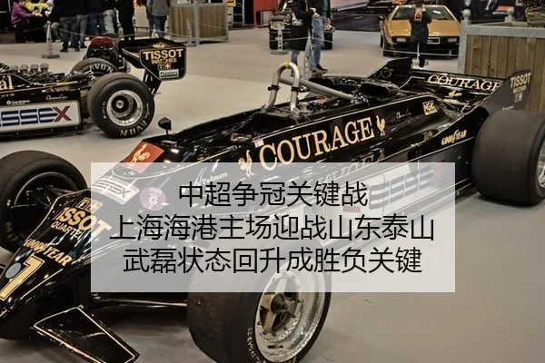 zhong-chao-zheng-guan-guan-jian-zhan-shang-hai-hai-gang-zhu-chang-ying-zhan-shan-dong-tai-shan-wu-lei-zhuang-tai-hui-3-940.jpg